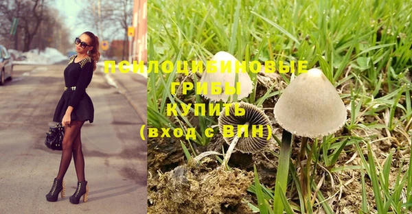 a pvp Володарск