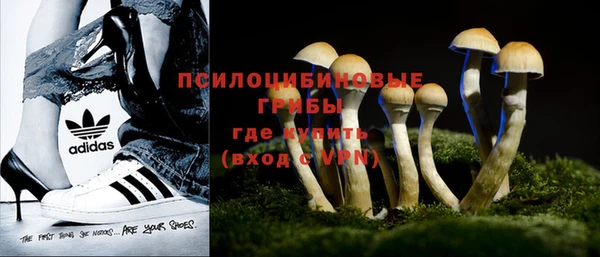 a pvp Володарск