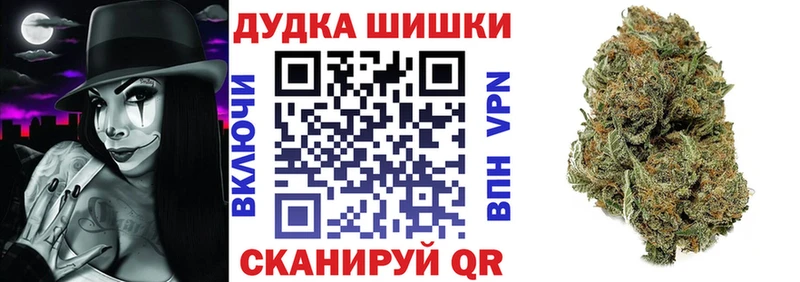 где найти   Тула  Конопля сатива 